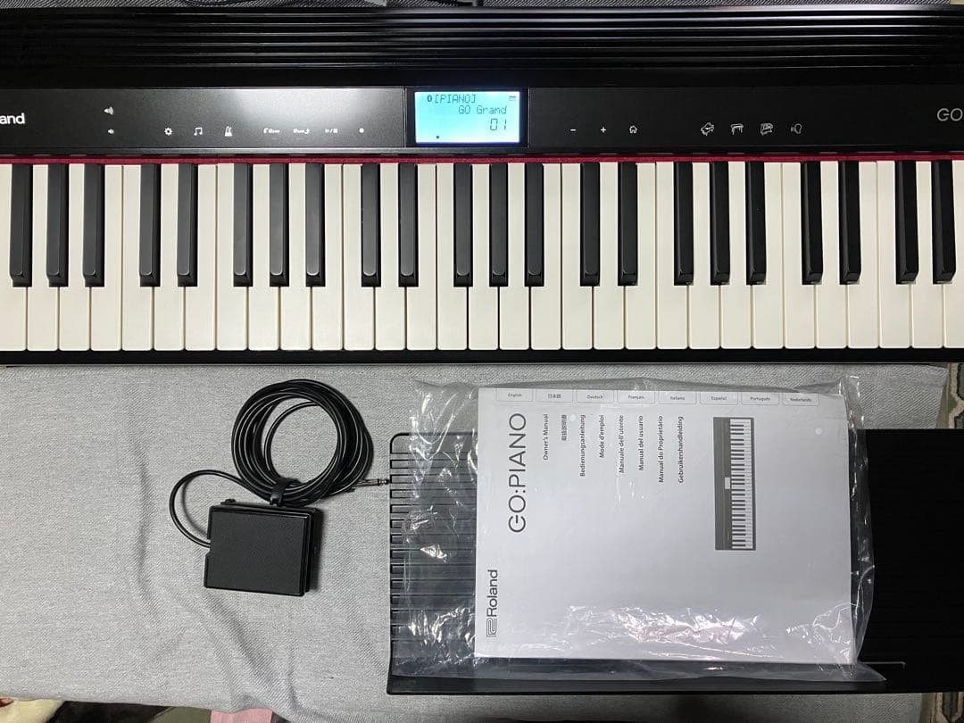 roland GO-61P 24年製