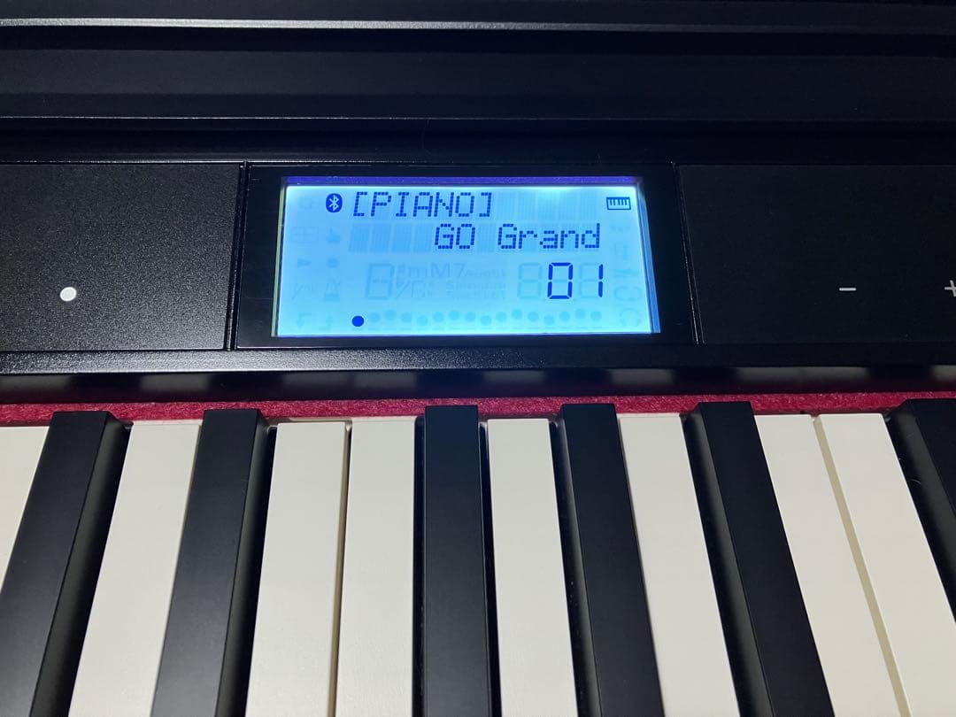 roland GO-61P 24年製