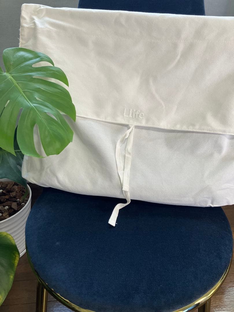 ◆新品未使用◆Llife COW LEATHER MESH BAG LIDNM