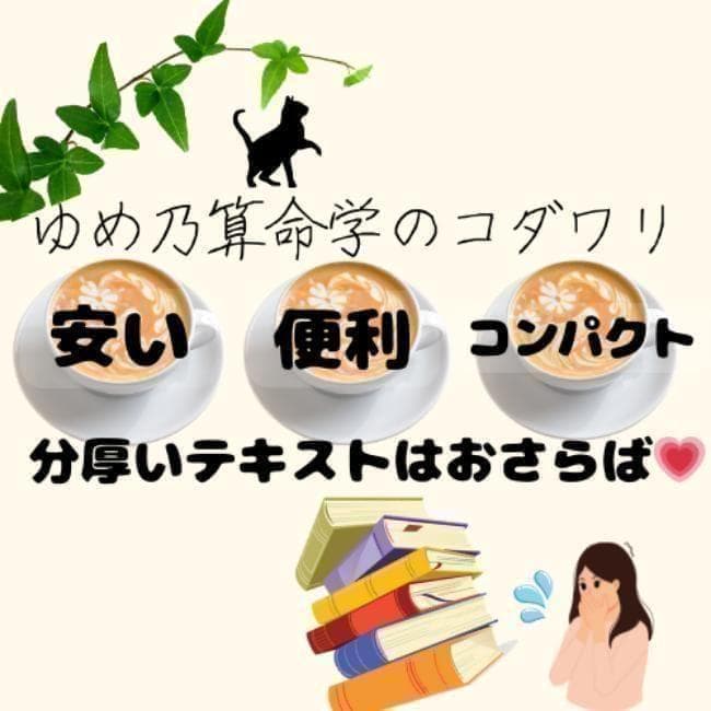 【￥11,000引】ゆめ乃算命学　本気のフルハウス　算命学　独学