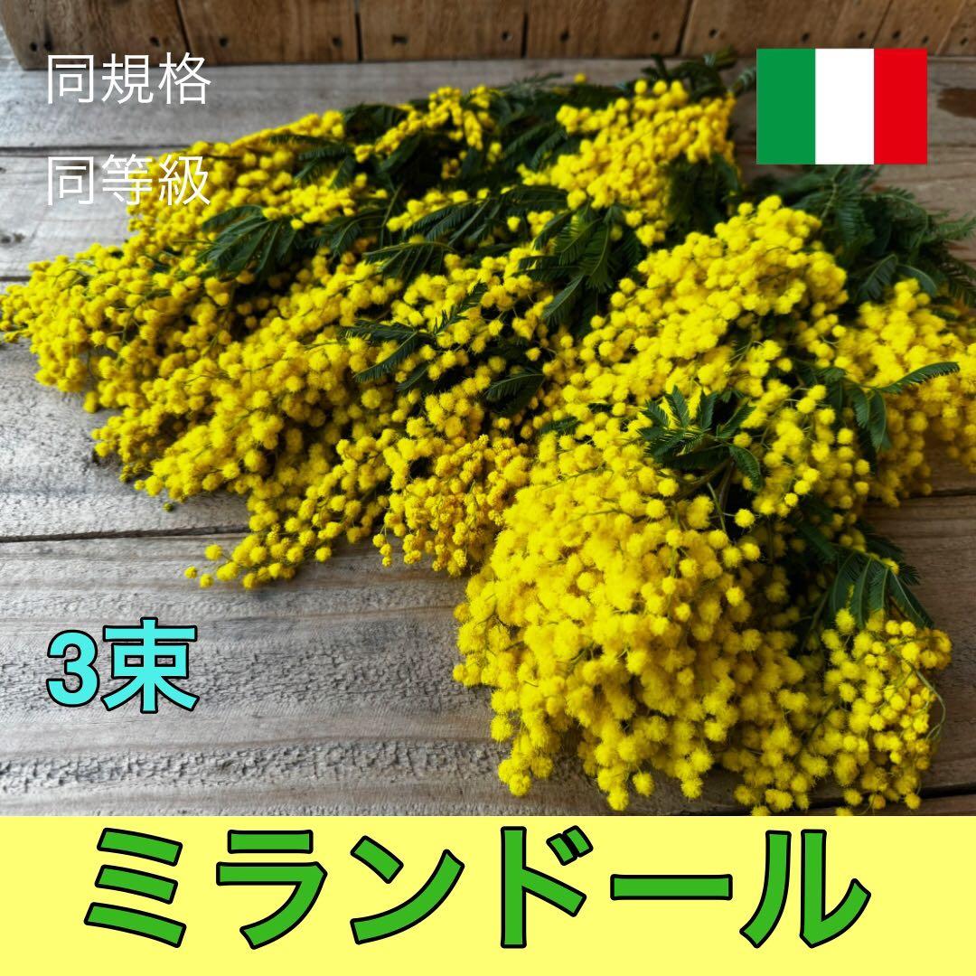 riisi様 リクエスト 4点 まとめ商品