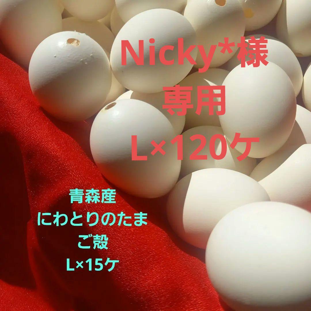 青森産　にわとりの白たまご殻L×120ケ