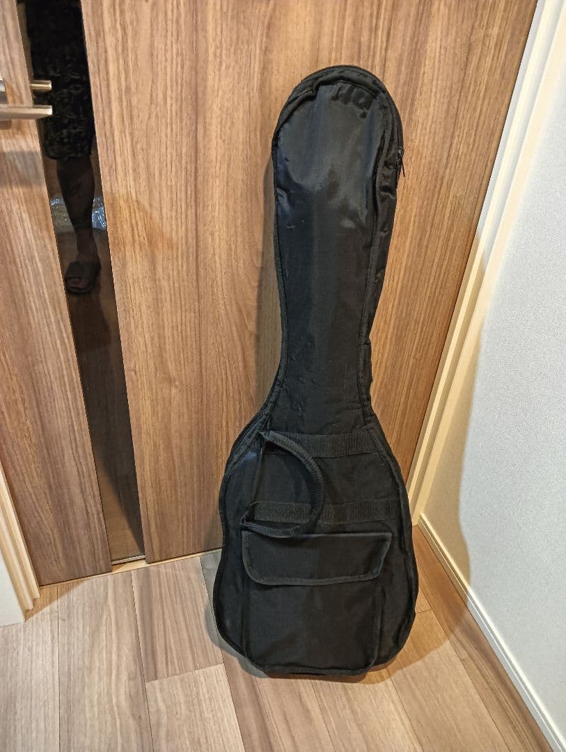 photogenic エレキギター