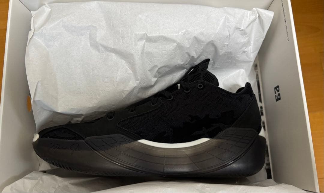 AIR JORDAN 39 us13 31cm ジョーダン39