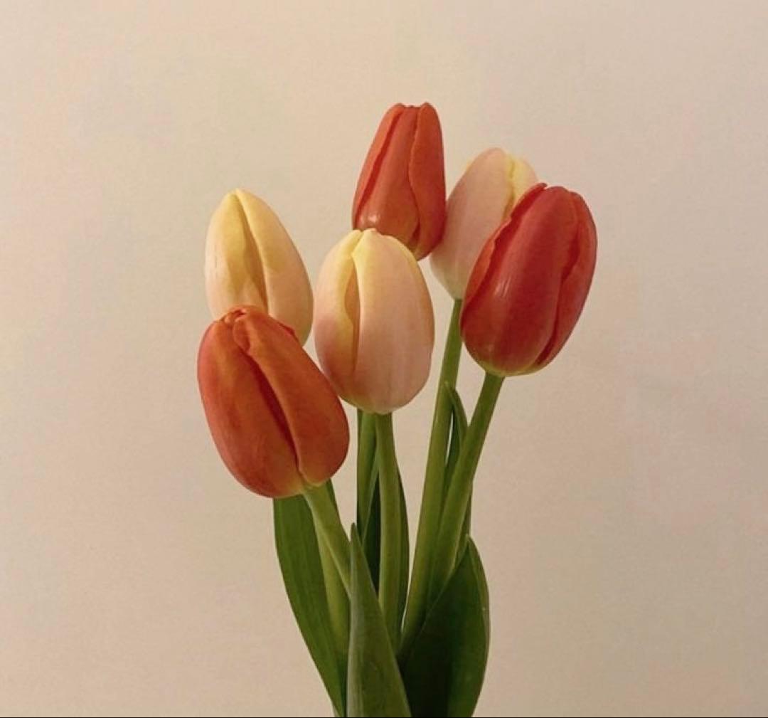 シャルムボー　ダーマブライトニングエッセンス