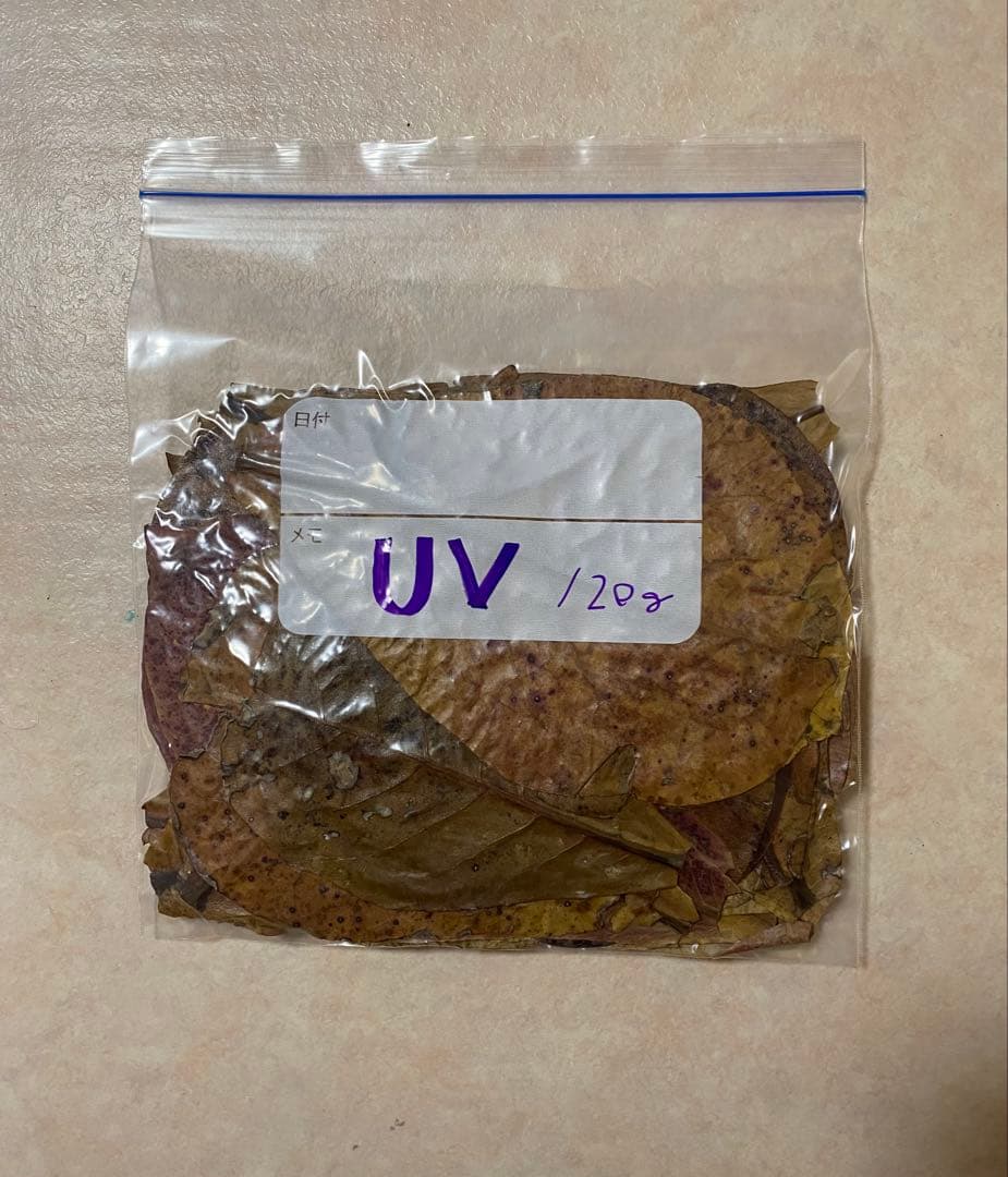 沖縄県やんばる産マジックリーフ 1kg UV殺菌灯照射済み②