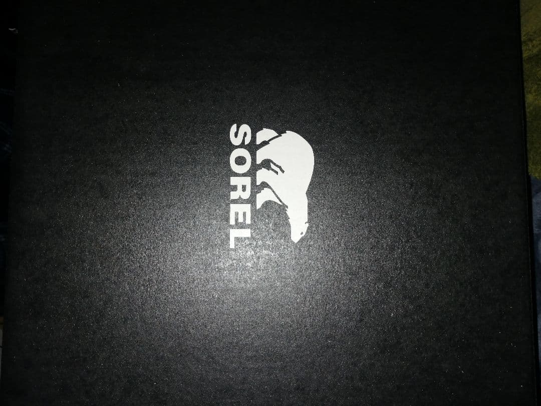 【値下げ交渉OK】SOREL 防水ブーツ 26.0 cm ブラウン