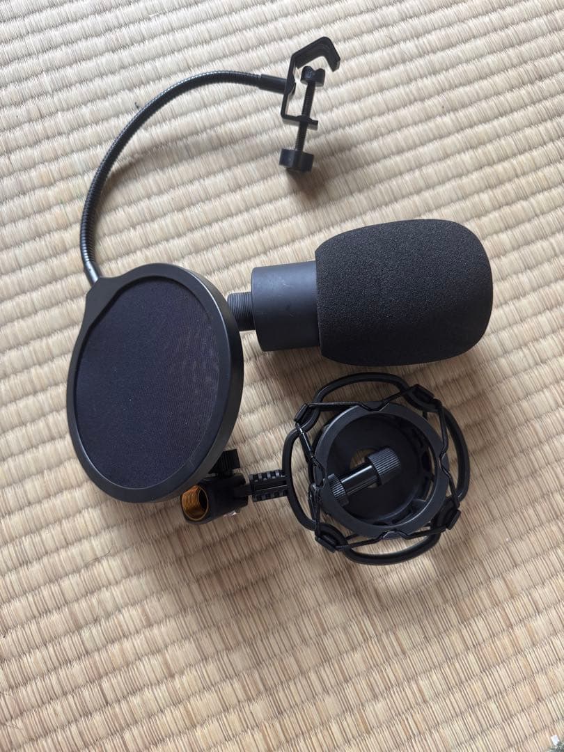 Roland VT-4 ボイストランスフォーマー マイク付きセット