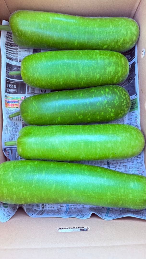 ひょうたん約23kg（※梱包を含む）