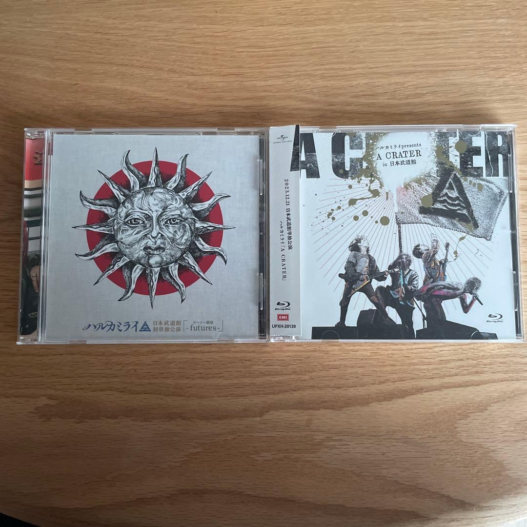 ハルカミライ　武道館ライブDVDセット