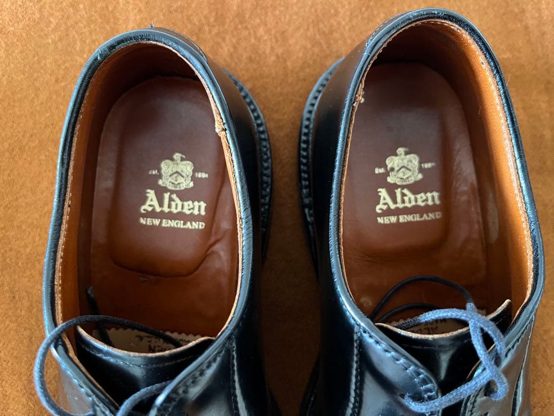 Alden 9901 コードバン6E