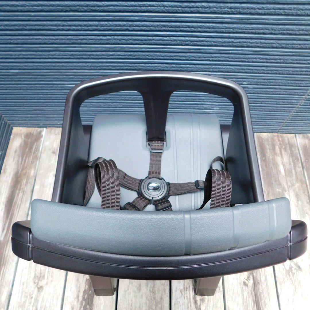 NUNA ヌナ ベビー ハイチェア　ZAAZ ザズ KATOJI取扱