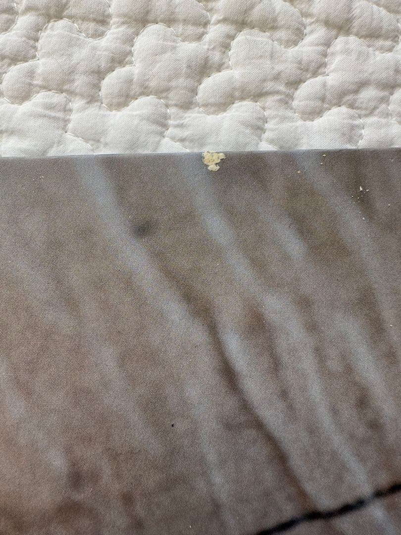 初回生産版　初回限定版多数　RADWIMPS CD DVD まとめ売り