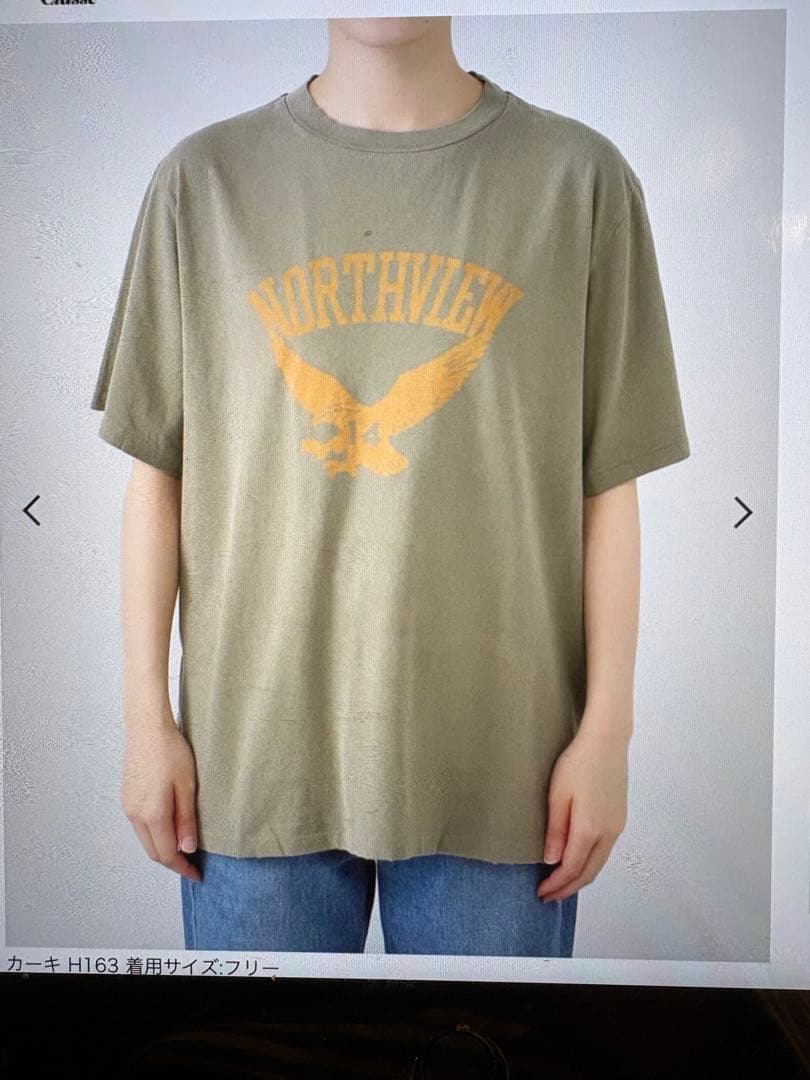 レミレリーフNORTHVIEXtシャツ
