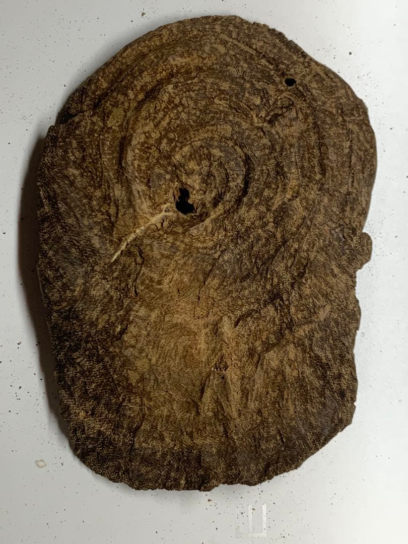 天然沈香 伽羅 香木 沈香線香 沈香精油