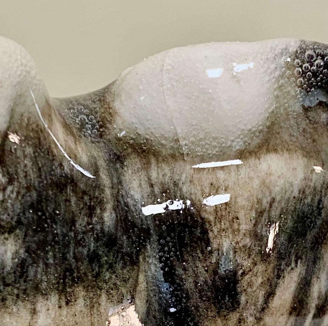 サイズ「1」　ウィンスタンレイキャット　ケンジントンキャット　キジトラ仔猫