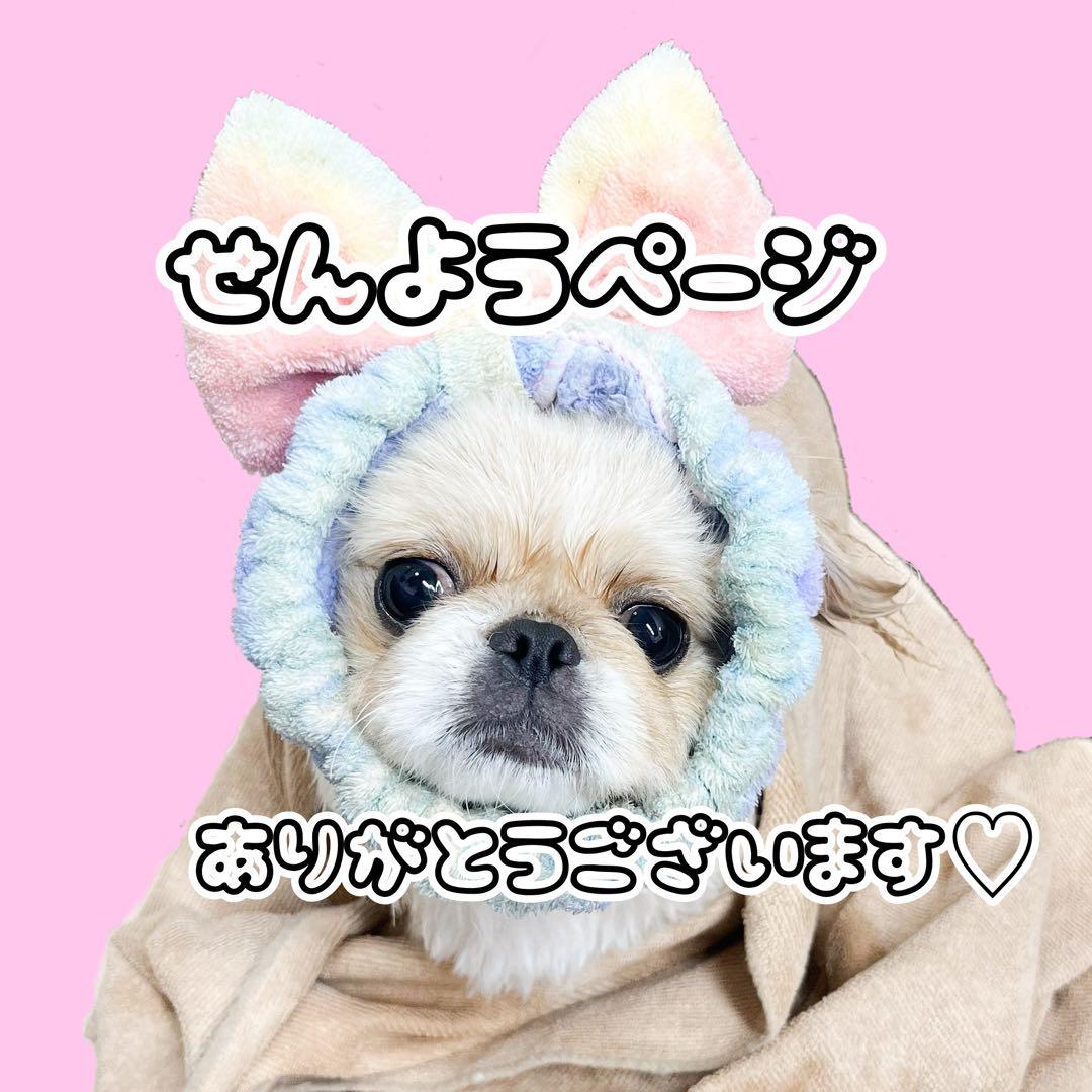 専用ページ ラッピング シール 平袋 詰め合わせ☆