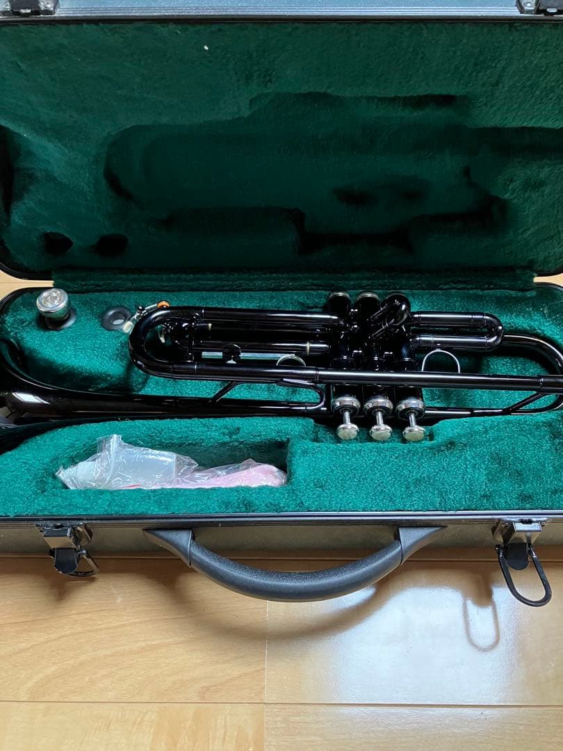 ケルントナートランペット 本体 黒色 ケース付き