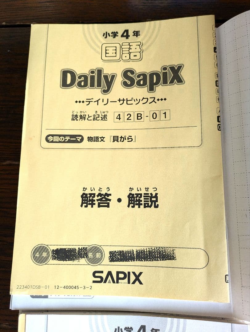 デイリーサピックス　4年生 　国語　B教材セット 通常レッスン　1年分　処理済