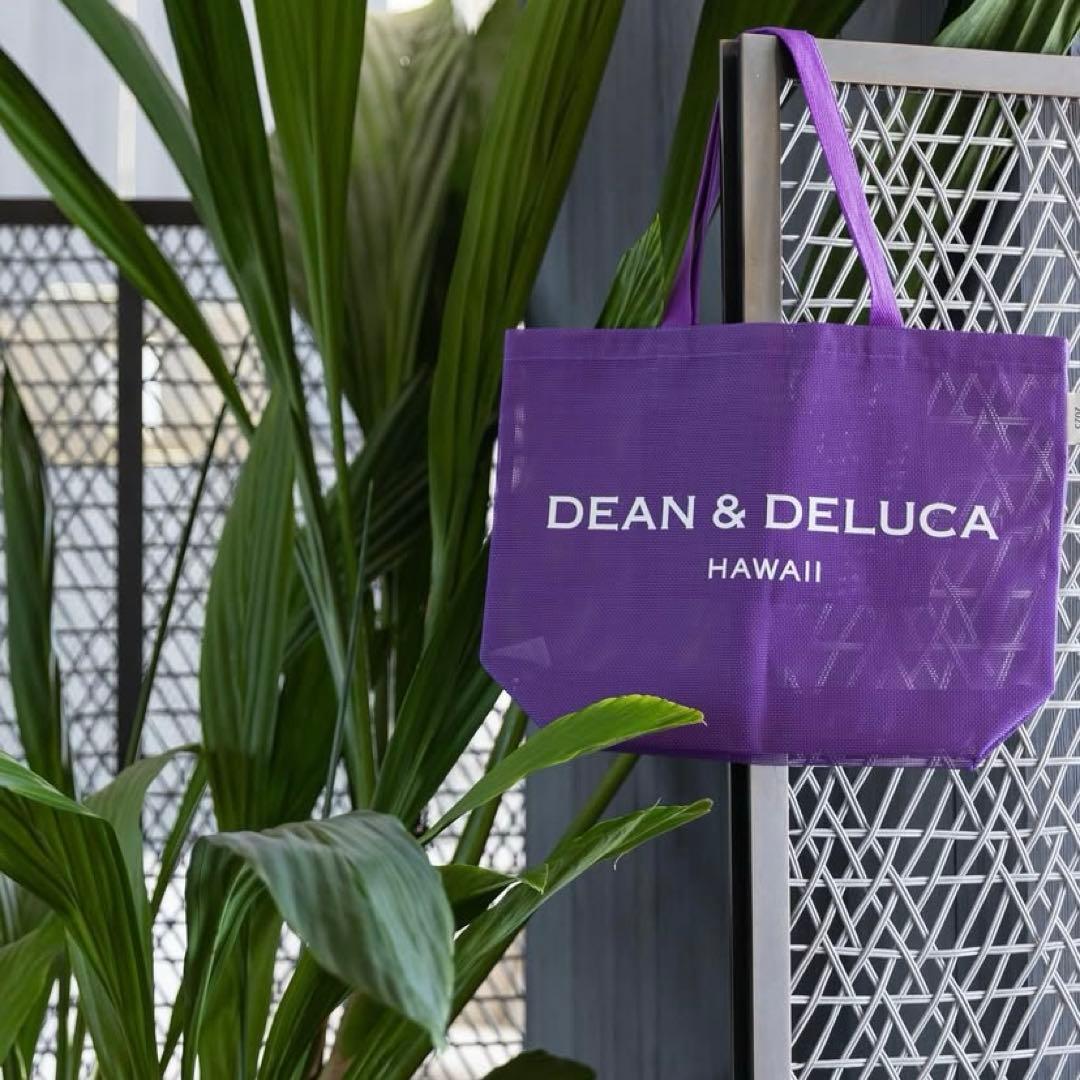 New✨ディーンアンドデルーカ メッシュバッグ パープル 紫 ラージサイズ