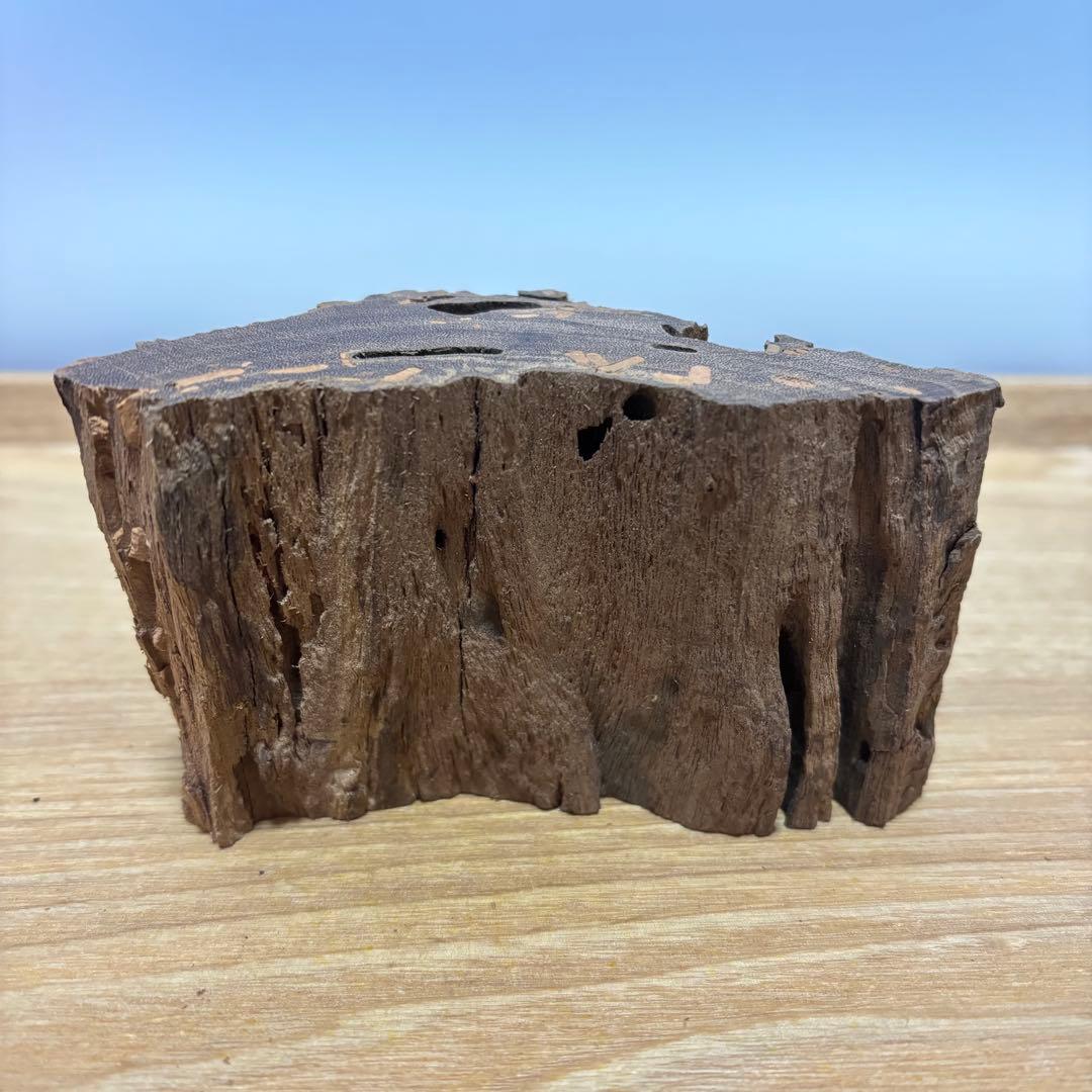 古代天然香木　沈香原木126.2g茶道具 タニシャム沈香伽羅聞香 香道具ベトナム