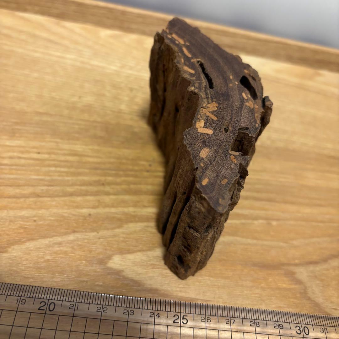 古代天然香木　沈香原木126.2g茶道具 タニシャム沈香伽羅聞香 香道具ベトナム