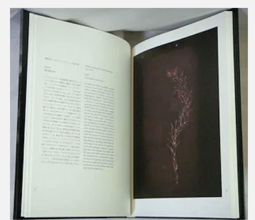 【直筆サイン入り 絶版】光の自然 / Nature of Light 杉本博司