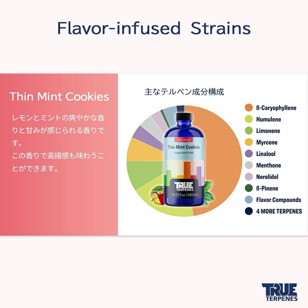TRUE テルペン 510 CBD CBN CBG 10ml シンミントクッキー