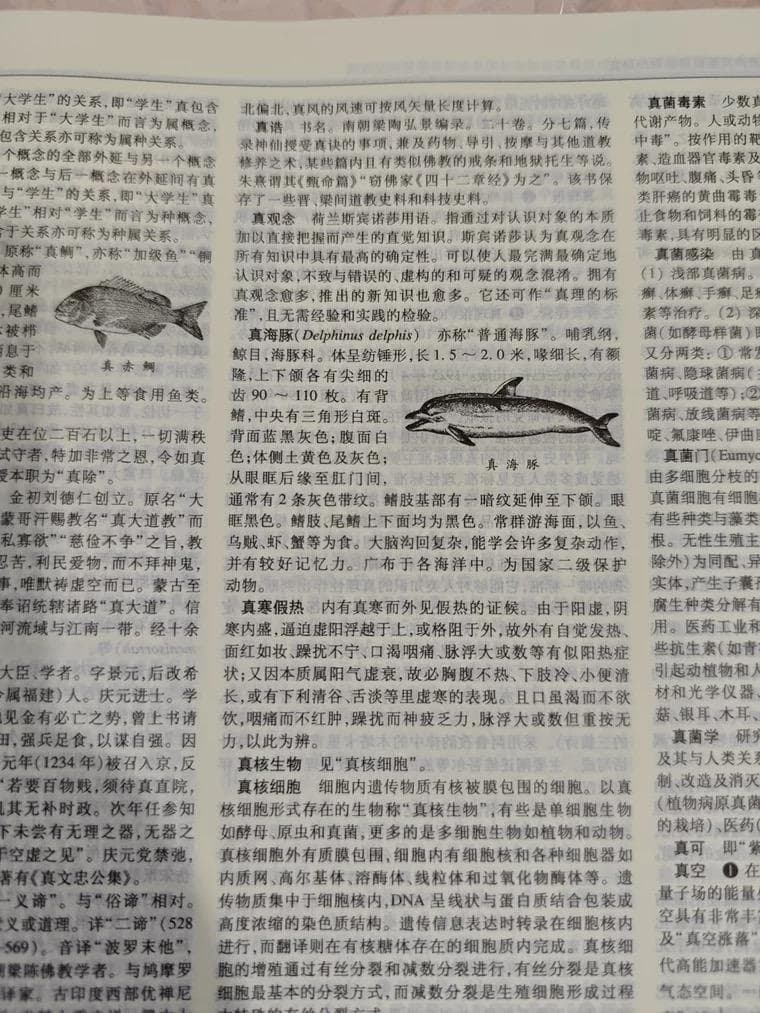 豪華特製装丁『辞海』 圧倒的情報量の百科事典 記念版 3488頁 中国語簡体字版