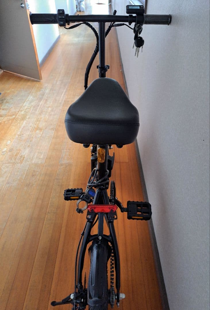 Ripwheat 電動アシスト自転車 ブラック