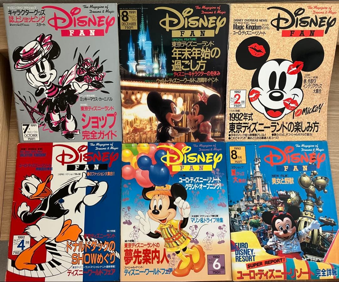 ディズニーファン Disney Fan 創刊号〜30号（28号除）29冊まとめ売