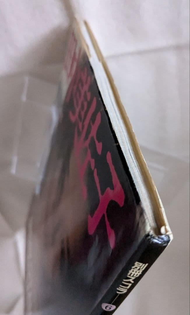 希少永久保存版◆田中美佐子 写真集 『別冊スコラ⑥』 講談社