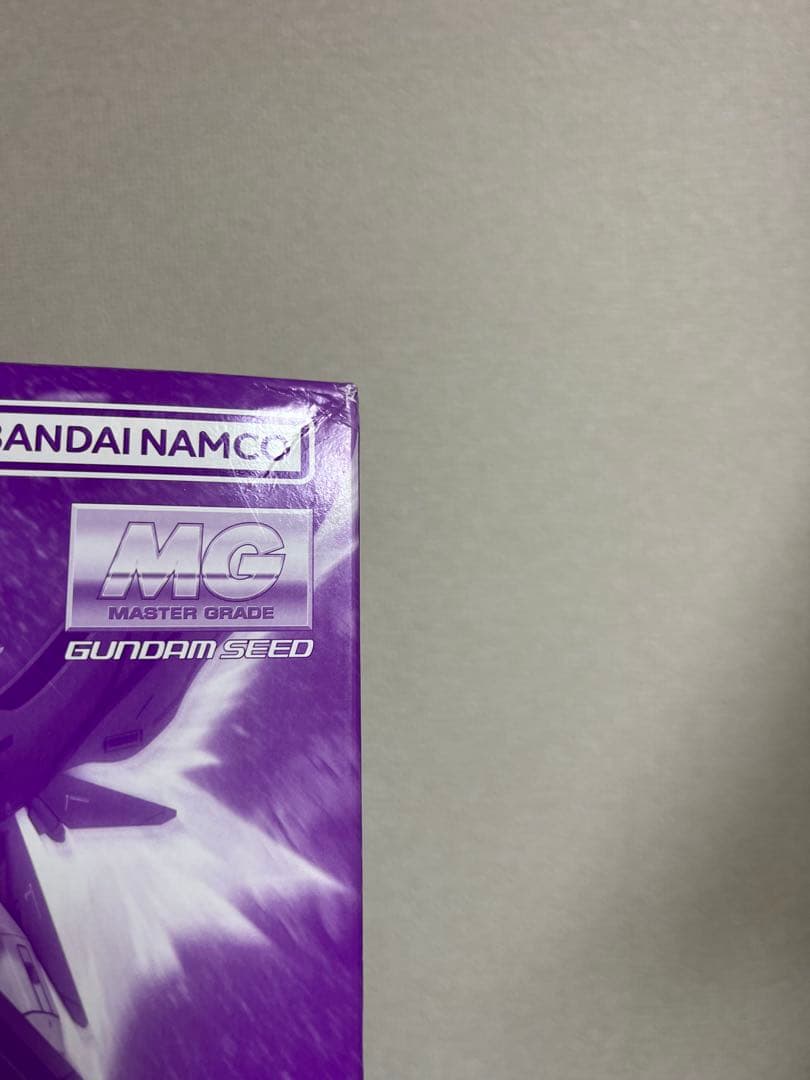 MG 1/100 デスティニーインパルスガンダムR（リジェネス）