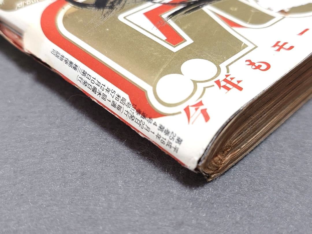 モーニング2006年5・6合併号バガボンド表紙&巻頭カラー/#198/井上雄彦