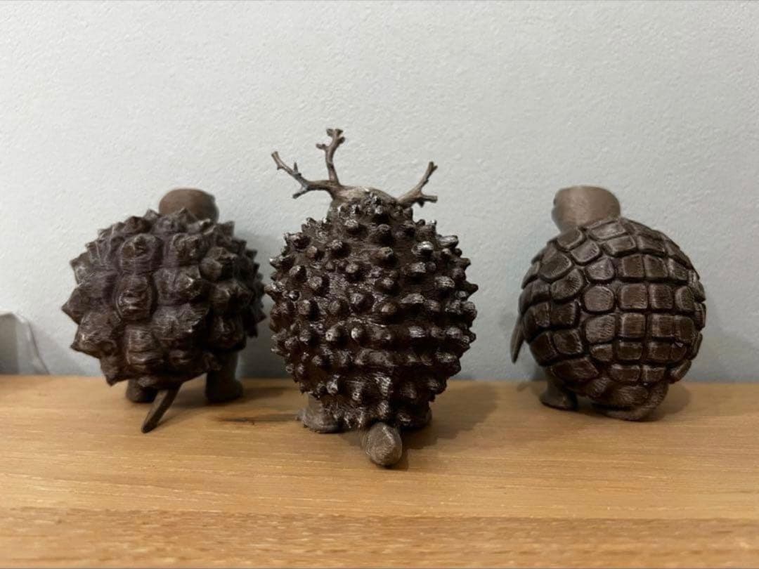 亀甲竜 【アフリカ メキシコ】 パキプス亀　プロモーション用