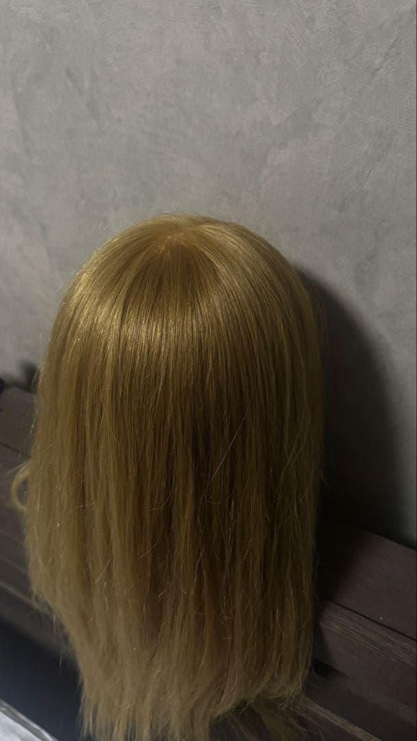 卵焼きさん専用◎NBAA ヘアアレンジ アップウィッグ ブロンド