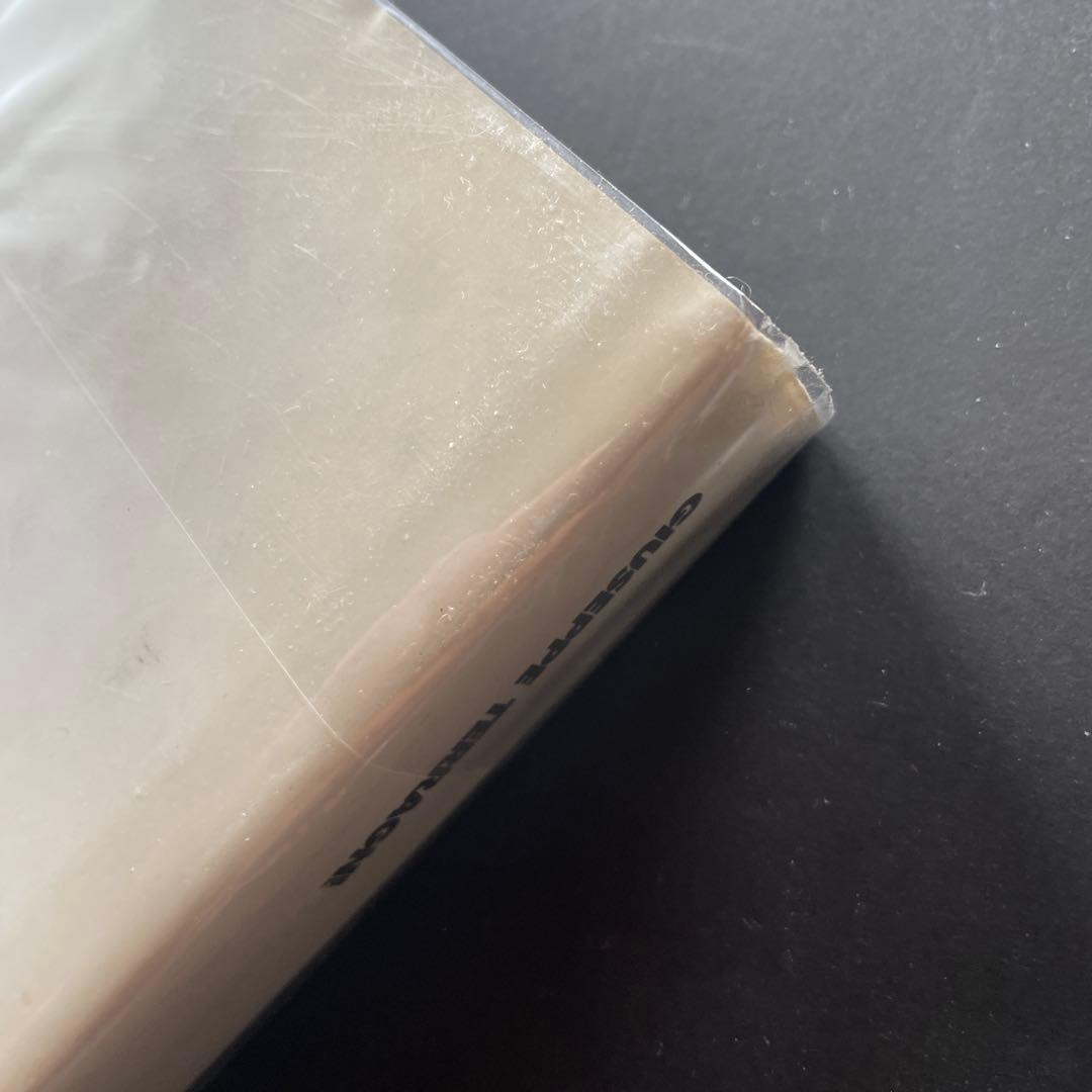 アート・デザイン・音楽 GiuseppeTerragniTransformations,critique