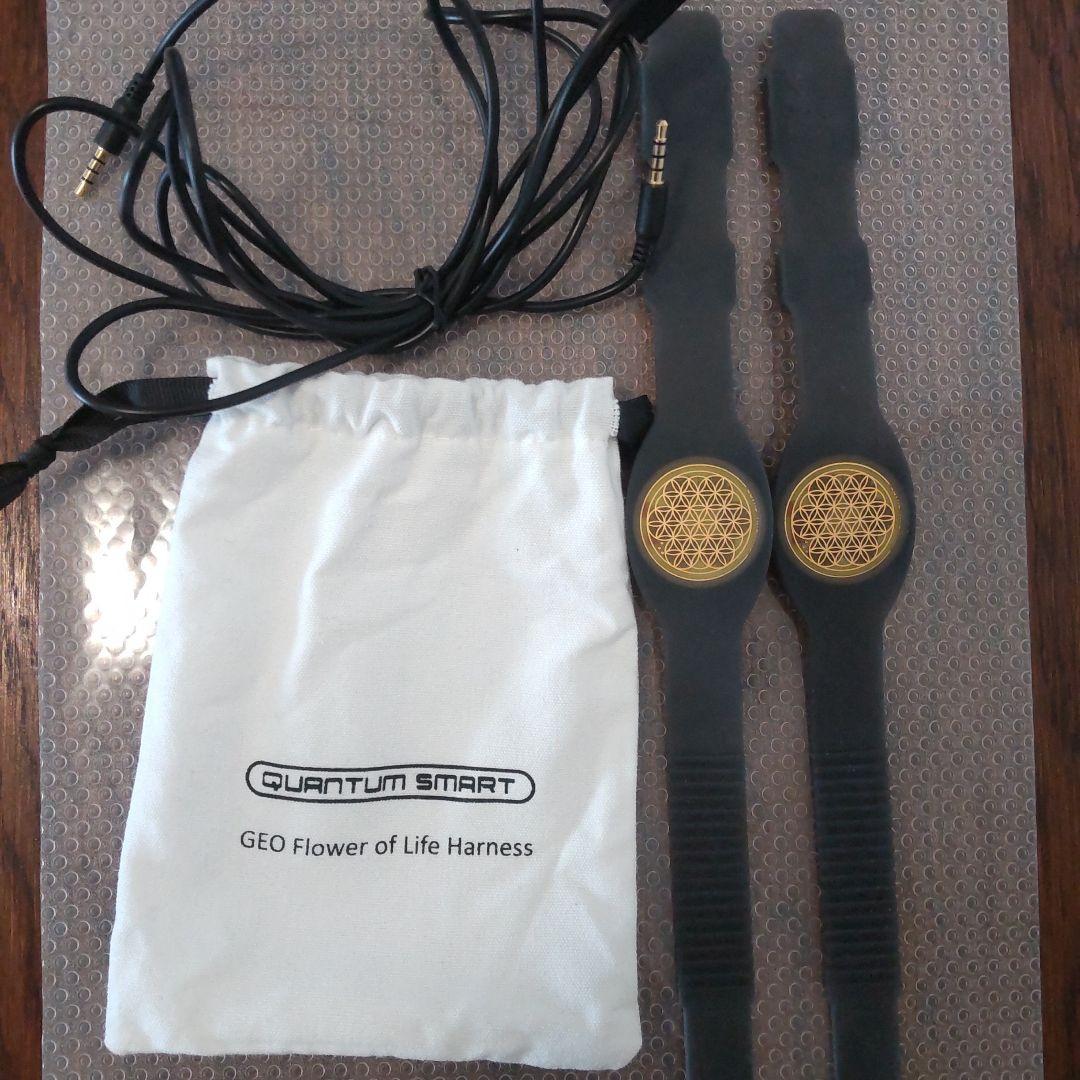 アルぺオン クォンタムスマート　ハーネス