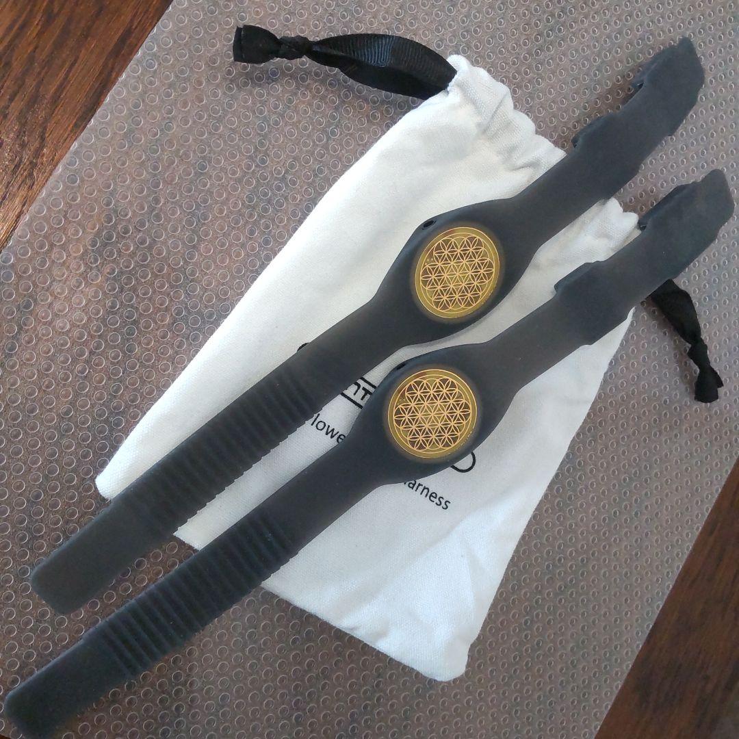 アルぺオン クォンタムスマート　ハーネス