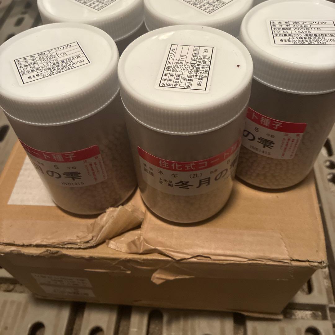 ねぎの種子　冬月の雫　ねぎ