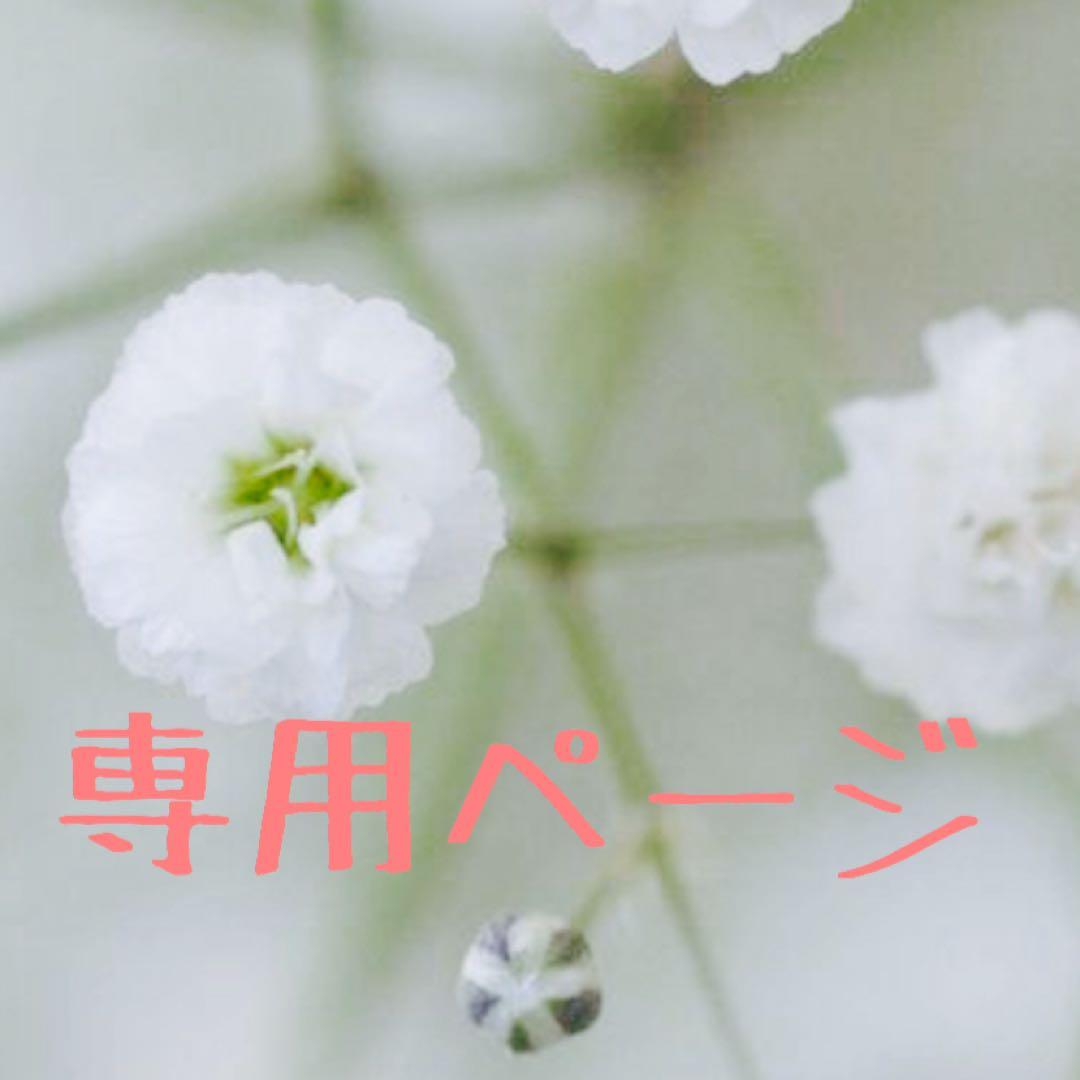 ご依頼者ページ 12点