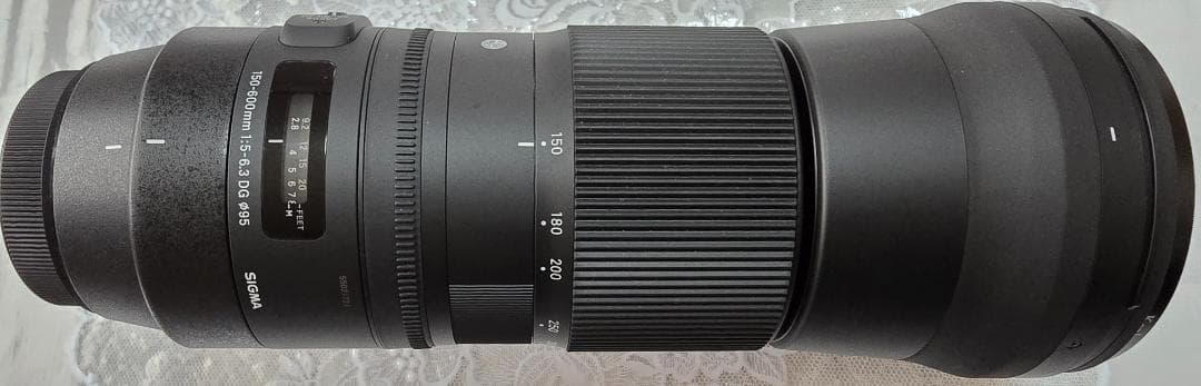 超望遠ズームレンズ 150-600mm F5-6.3 For Canon