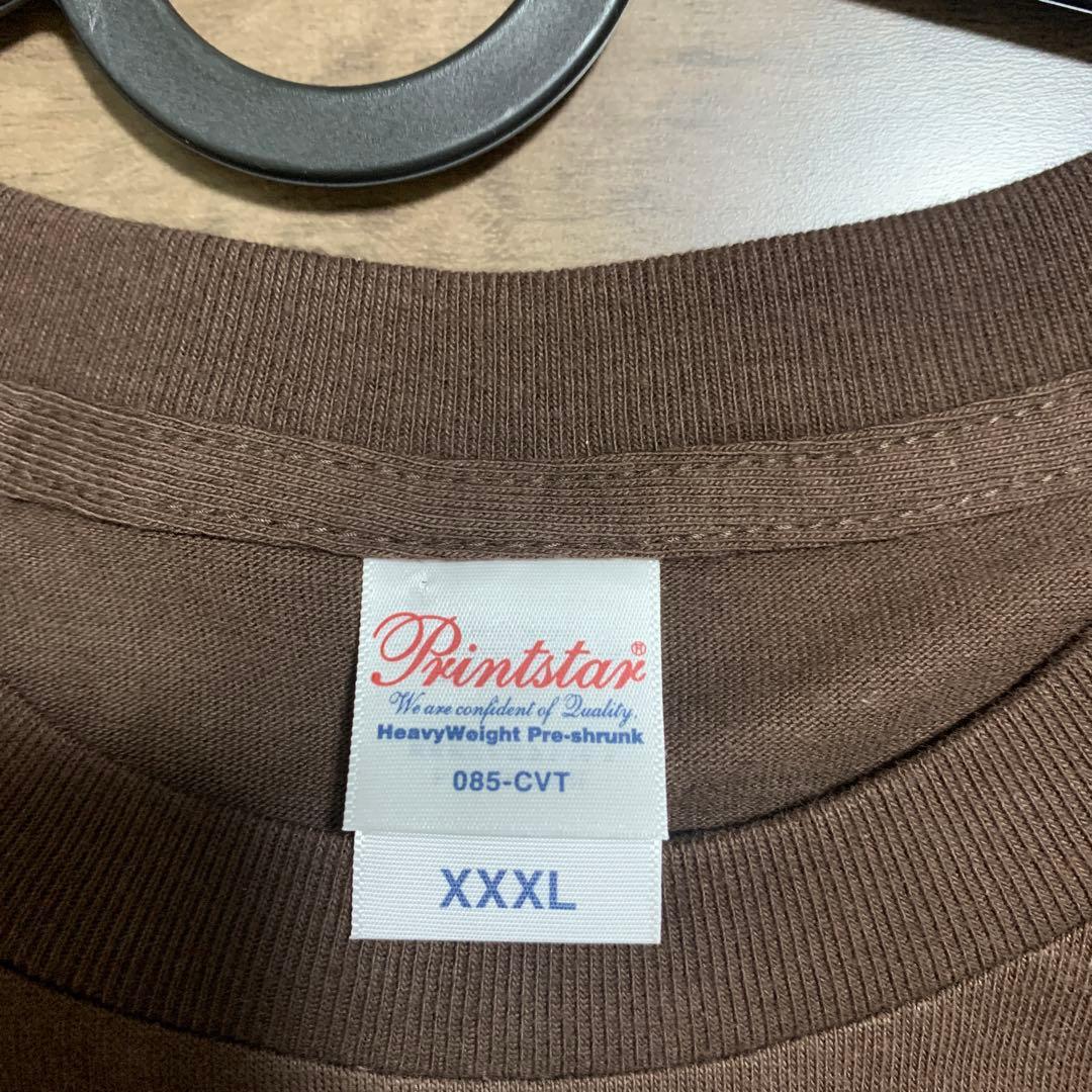 ポケモンGO サファリゾーン Tシャツ XXXL