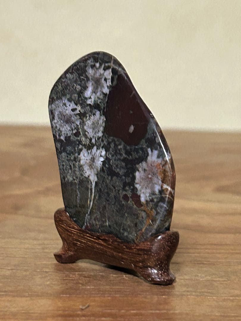 菊花石　菊紋石　根尾菊花石　飾石　天然石　水石　鑑賞石　自然石　原石　鉱物　置物