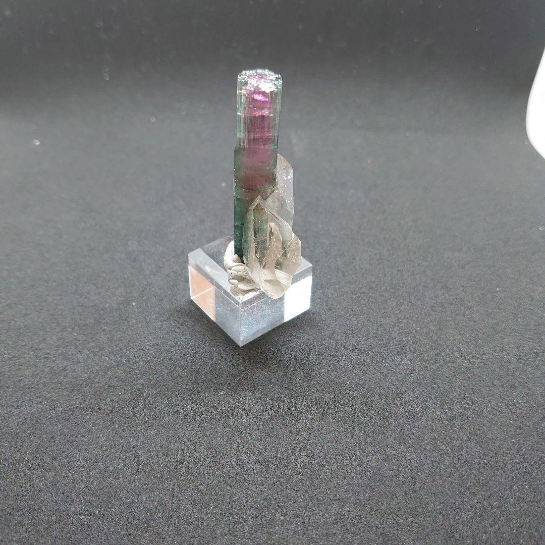 トルマリンと水晶の共生標本