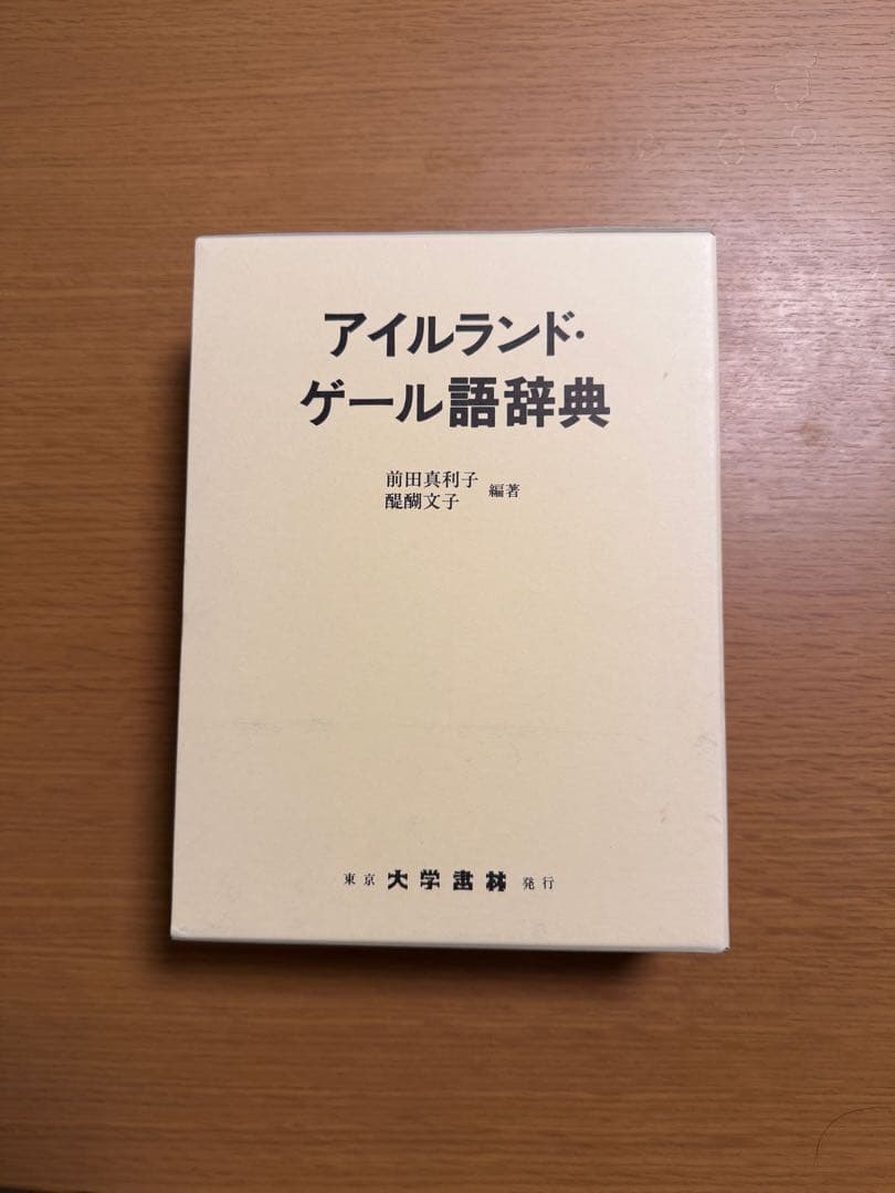 アイルランド・ゲール語辞典（値下げ交渉可）