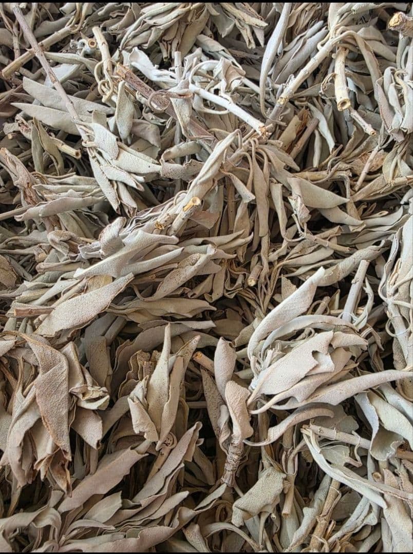 激安価格☆無農薬ホワイトセージ枝付きクラスター1kg箱入りお香浄化