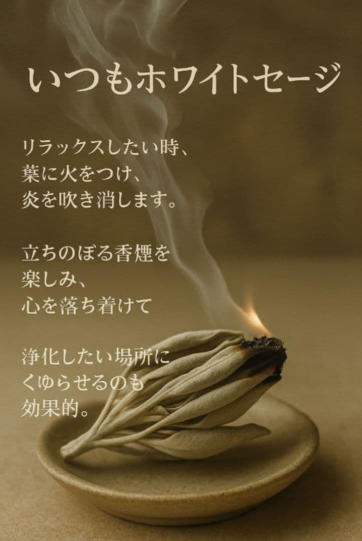 激安価格☆無農薬ホワイトセージ枝付きクラスター1kg箱入りお香浄化