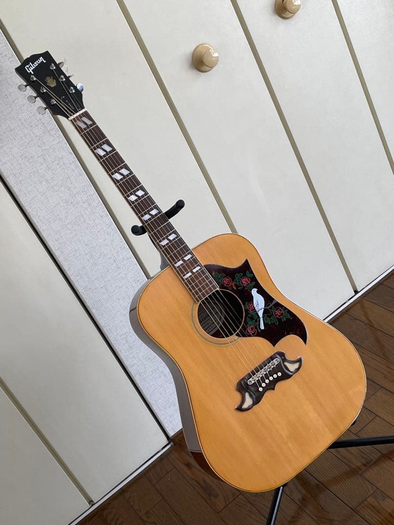 エレアコ仕様 　なにかと話題のTomson DOVEモデル(多分)