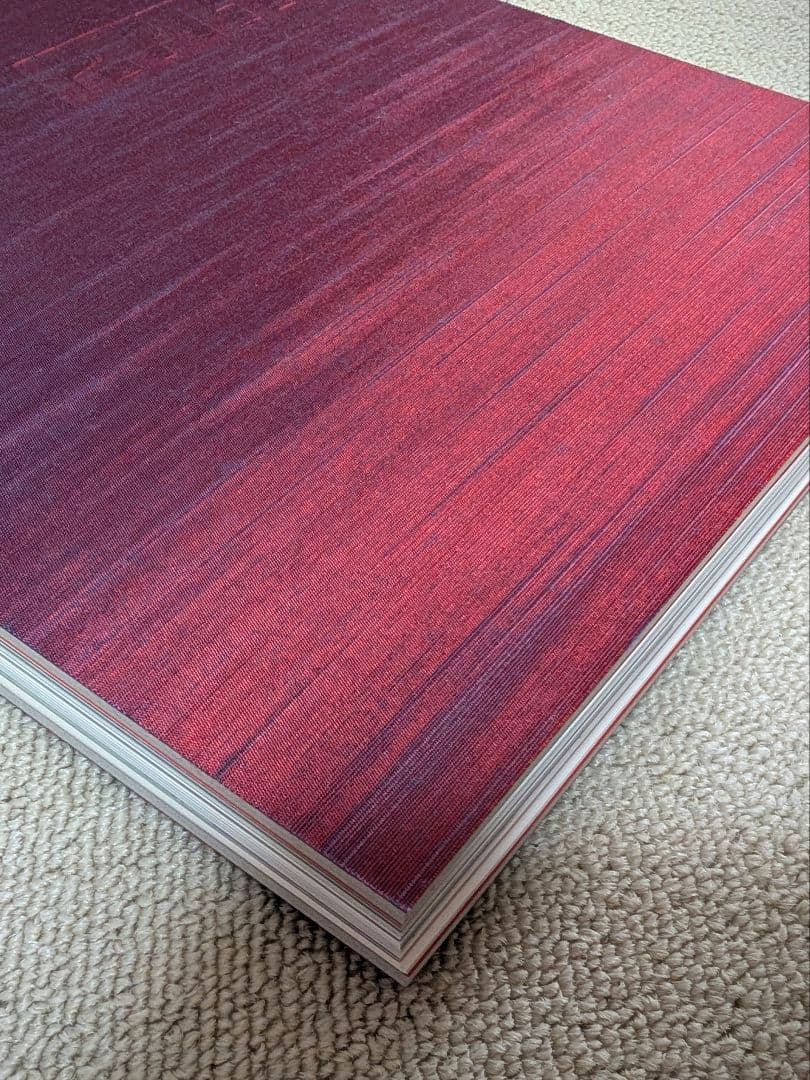 #ff0921 アートブック 写真集 小松菜奈 菅田将暉